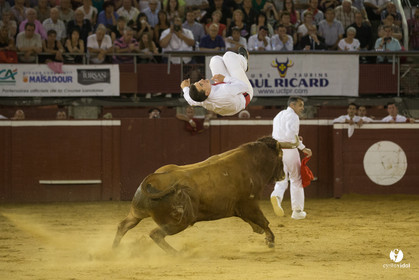 course landaise
