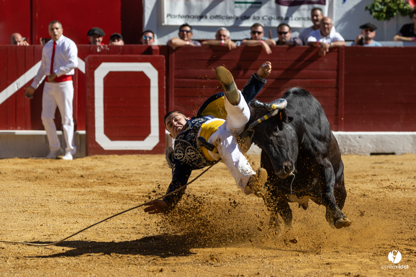 Aire-sur-l'Adour Championnat de France de course landaise 2023