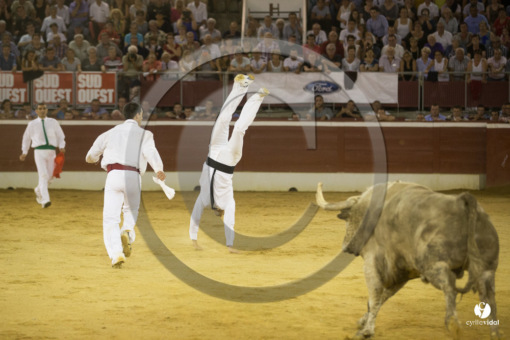 course landaise
