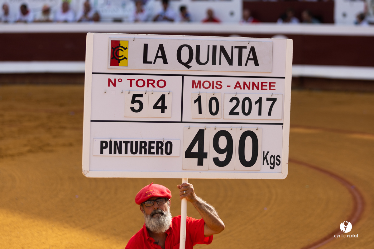 1254.jpg