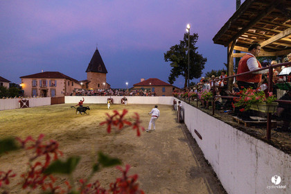 2025-07-11-2300.jpg