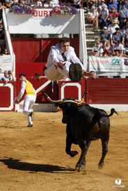 Aire-sur-l'Adour Championnat de France de course landaise 2023