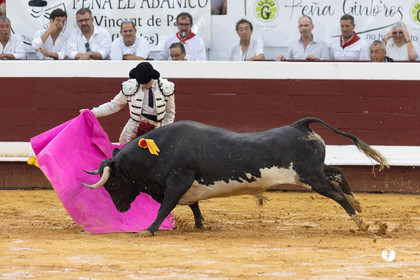 3790.jpg