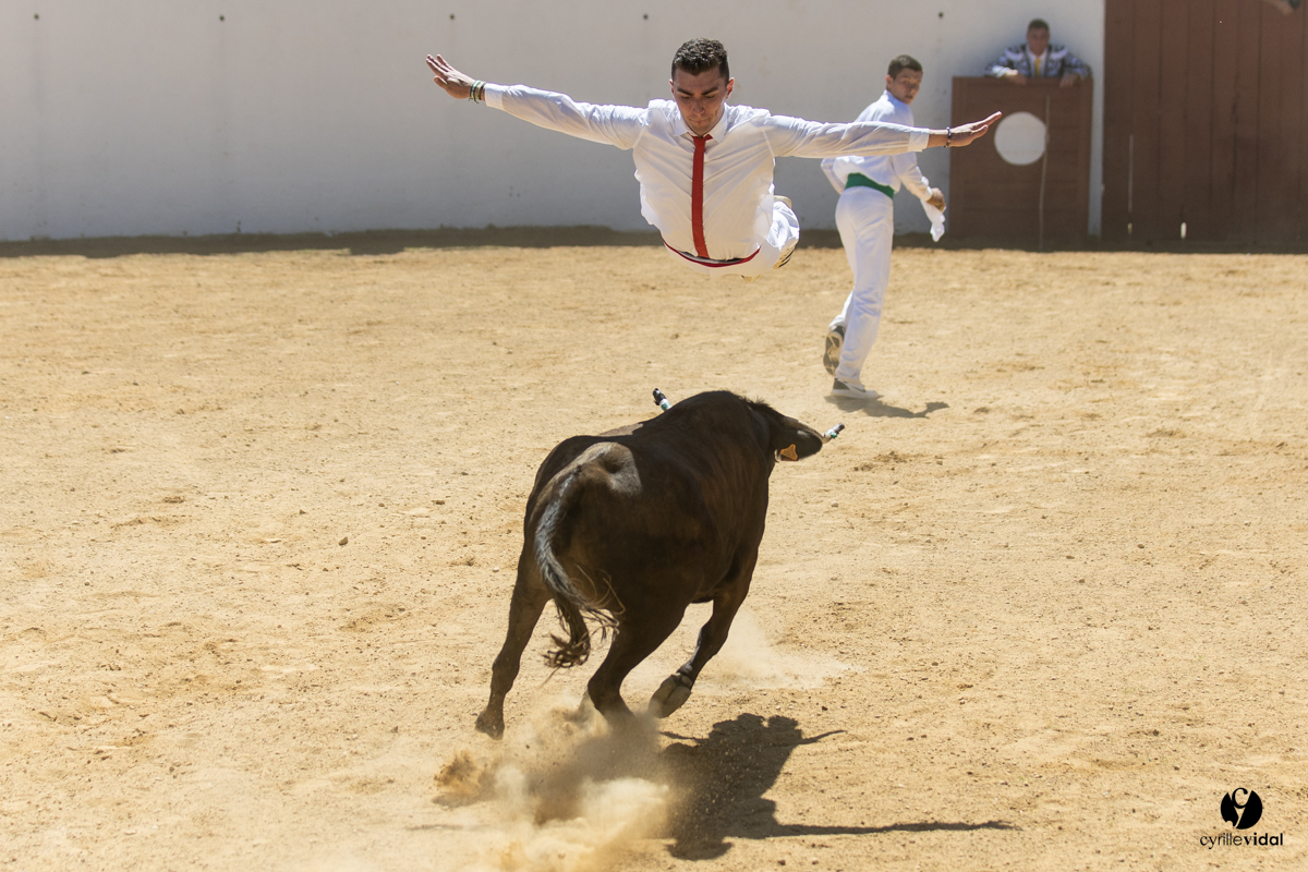 Saint-Cricq Chalosse course landaise de promotion Ganadéria Deyris Cuadrilla Jérémy Lafitte Saint-Cricq Chalosse course landaise de promotion Ganadéria Deyris Cuadrilla Jérémy Lafitte