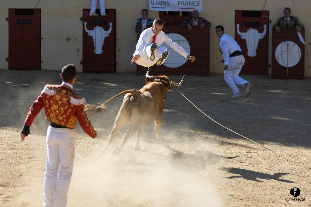 Course landaise