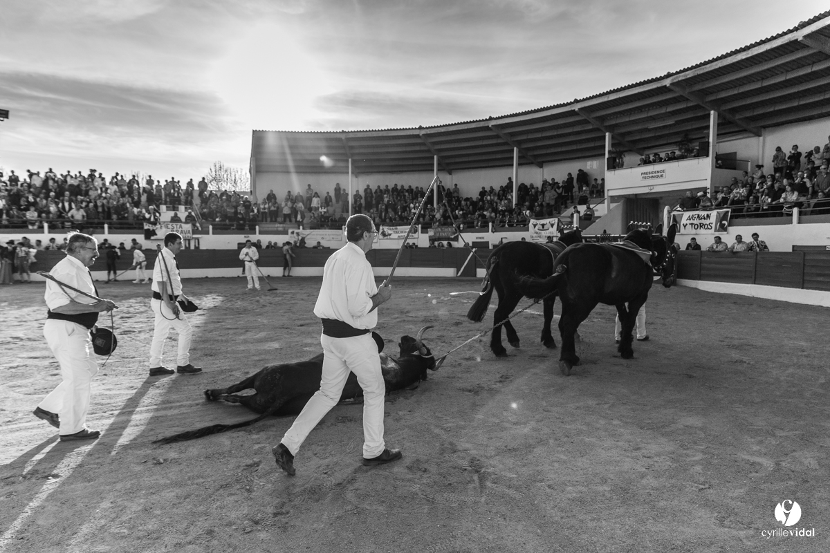 Corrida Aignan