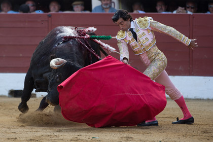 corrida, toro, vic fezensac, alcurrucen, michelito, morenito de aranda