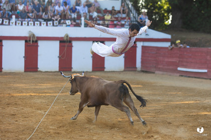 Course landaise à Panjas