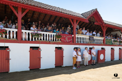 2022-07-10-3168.jpg