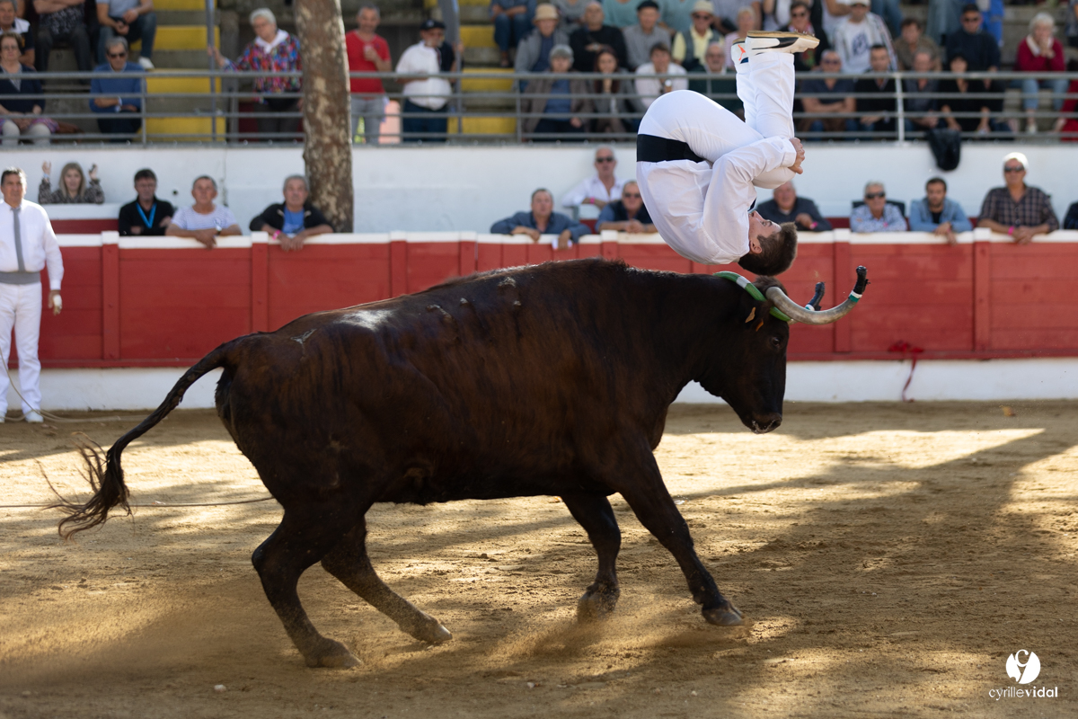 Nogaro Championnat de France de course landaise 2022