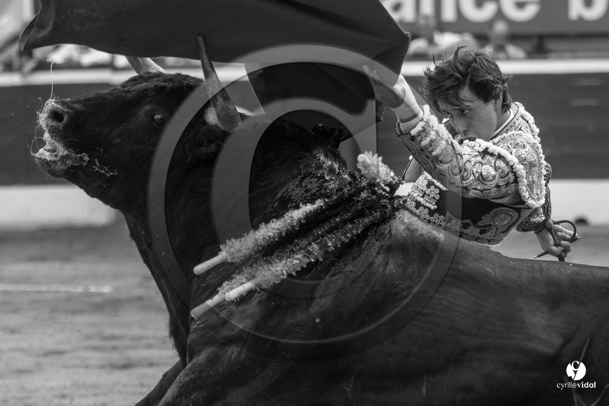 Mont-de-Marsan corrida de Jandilla pour Padilla - Talavante - Roca Rey