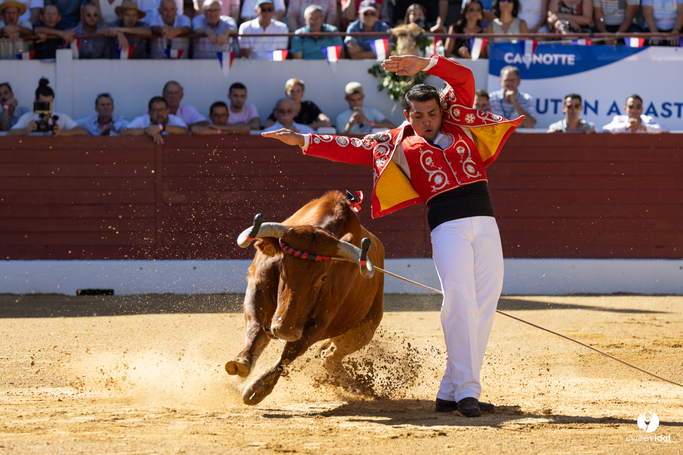 Aire-sur-l'Adour Championnat de France de course landaise 2023 Aire-sur-l'Adour Championnat de France de course landaise 2023