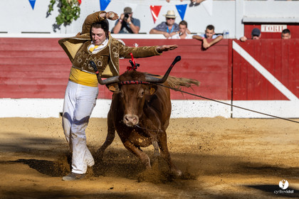Aire-sur-l'Adour Championnat de France de course landaise 2023