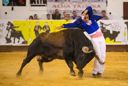 1581.jpg
