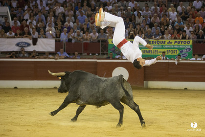 course landaise
