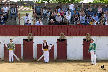 2023-05-08-1209.jpg