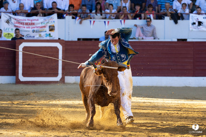 Aire-sur-l'Adour Championnat de France de course landaise 2023