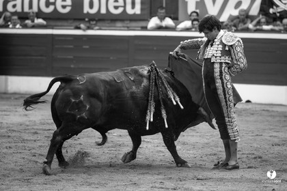 Mont-de-Marsan corrida de Jandilla pour Padilla - Talavante - Roca Rey
