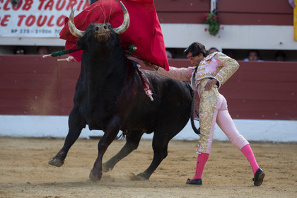 corrida, toro, vic fezensac, alcurrucen, michelito, morenito de aranda