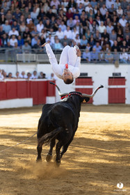 Nogaro Championnat de France de course landaise 2022