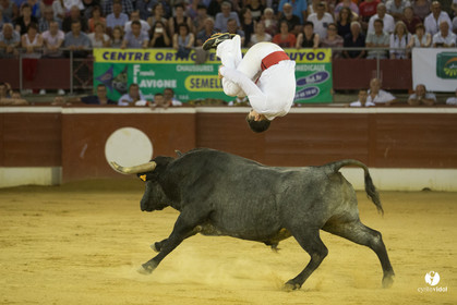 course landaise