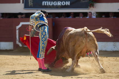 corrida, toro, vic fezensac, alcurrucen, michelito, morenito de aranda
