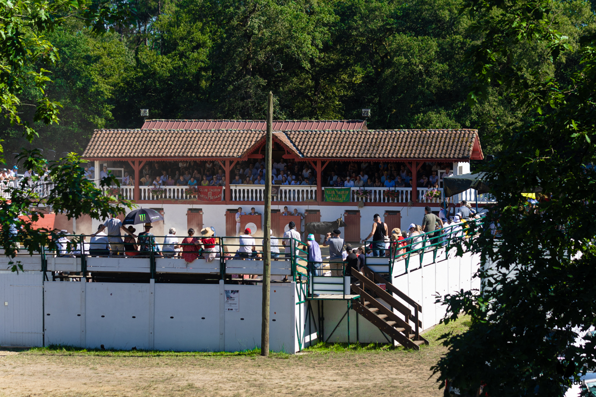 2022-07-10-3695.jpg