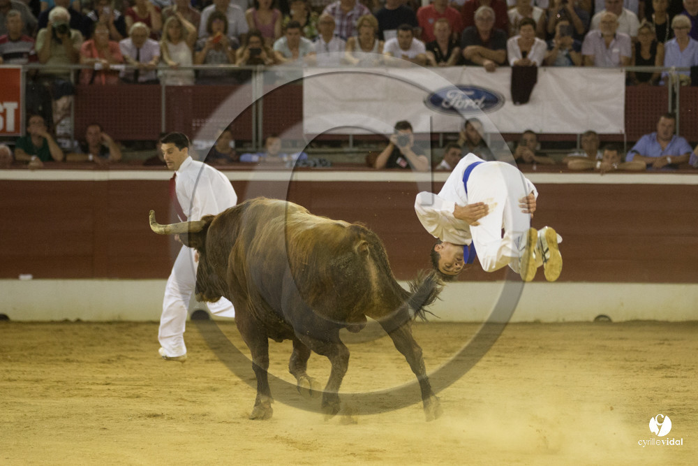 course landaise
