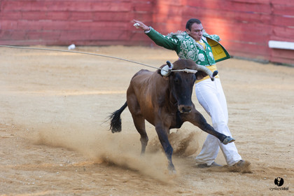 Course landaise à Panjas