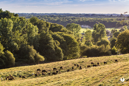 Photos du livre Ganadère landais en 2020