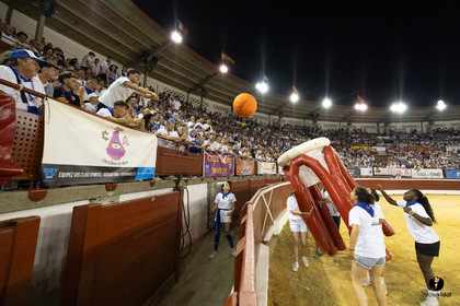2024-07-19-8555.jpg