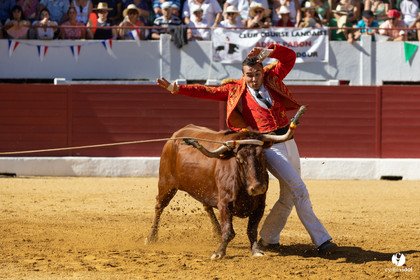 Aire-sur-l'Adour Championnat de France de course landaise 2023