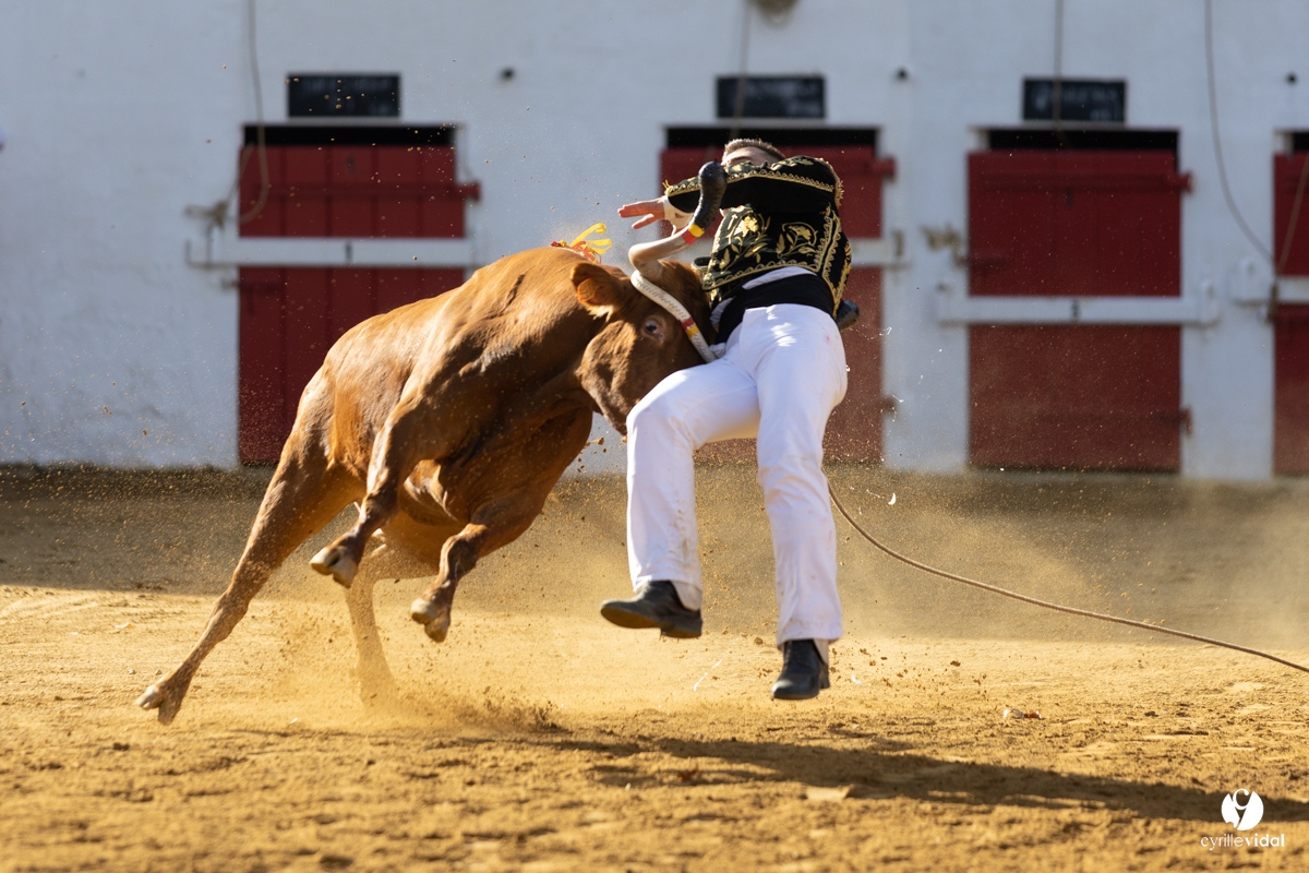 Nogaro Championnat de France de course landaise 2022