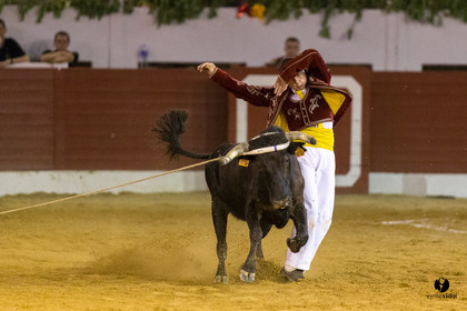 Aire sur l'Adour course landaise génération Aturine