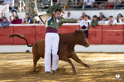 Nogaro Championnat de France de course landaise 2022