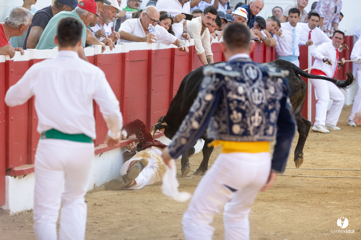 Nogaro Corne d'Or 2023