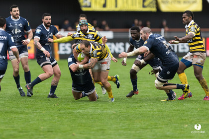 Stade Montois Rugby - Colomiers