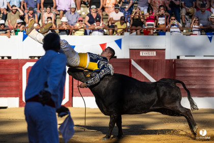 Aire-sur-l'Adour Championnat de France de course landaise 2023