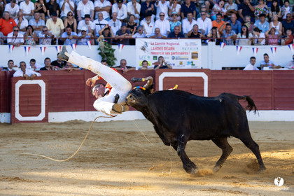 Aire-sur-l'Adour Championnat de France de course landaise 2023