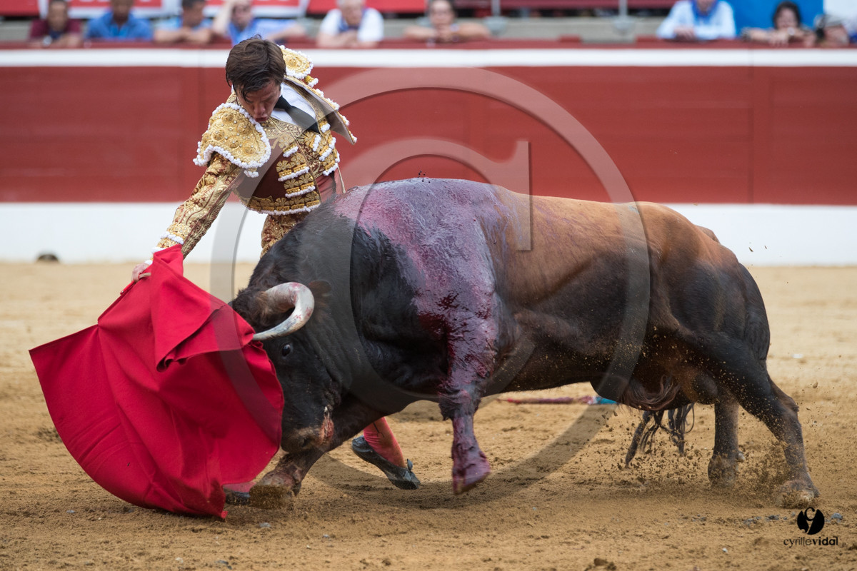 Mont-de-Marsan corrida de Garcigrande pour El Juli et Juan Bautista Mont-de-Marsan corrida de Garcigrande pour El Juli et Juan Bautista