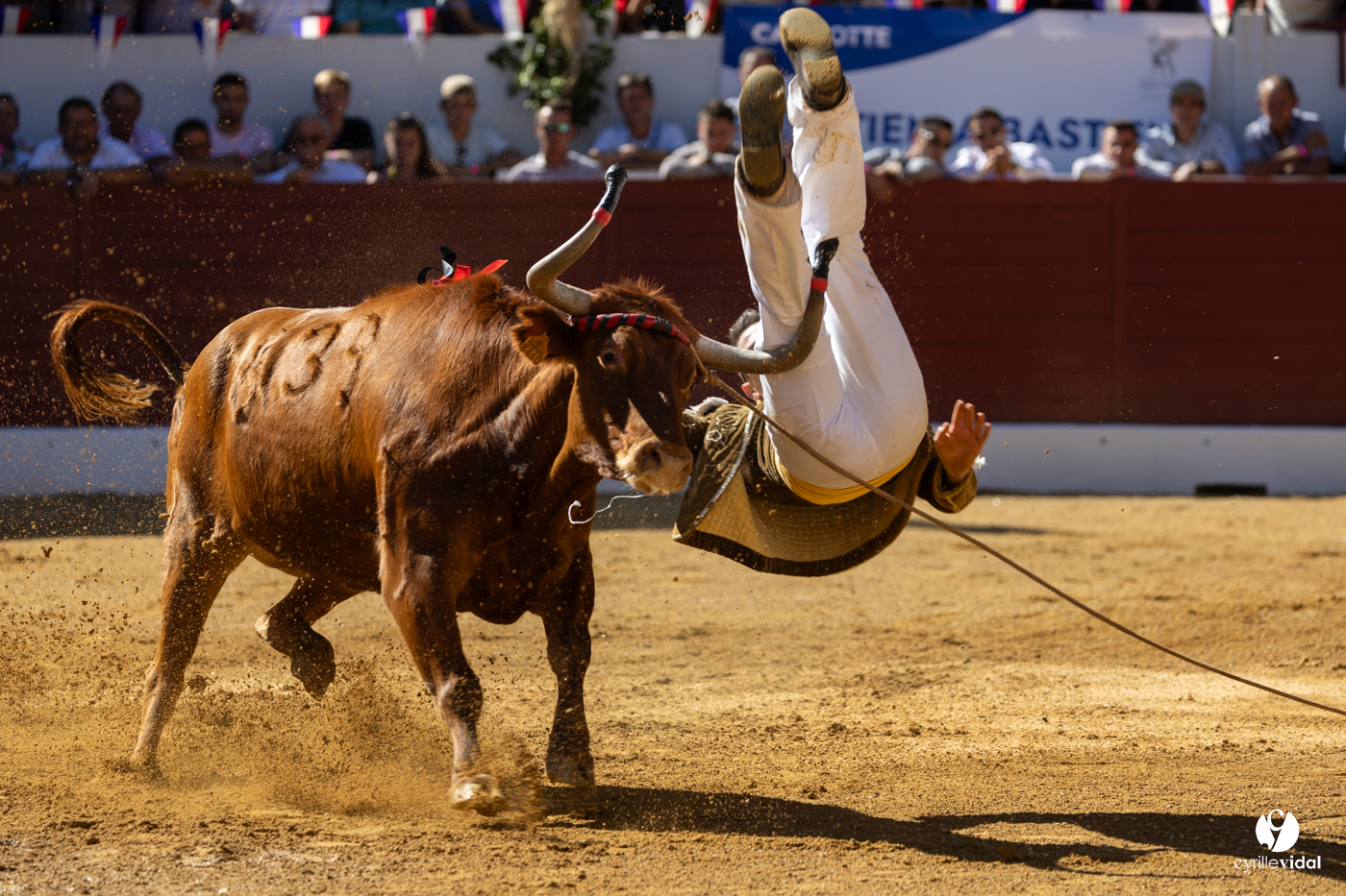 Aire-sur-l'Adour Championnat de France de course landaise 2023 Aire-sur-l'Adour Championnat de France de course landaise 2023