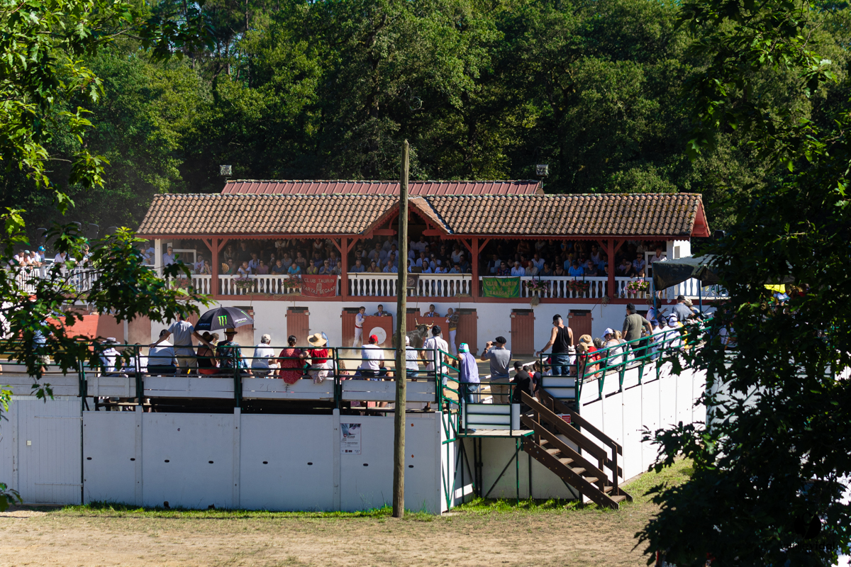 2022-07-10-3691.jpg