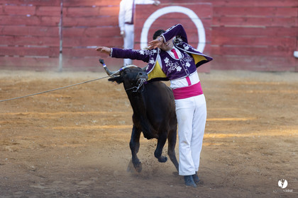 Course landaise à Panjas