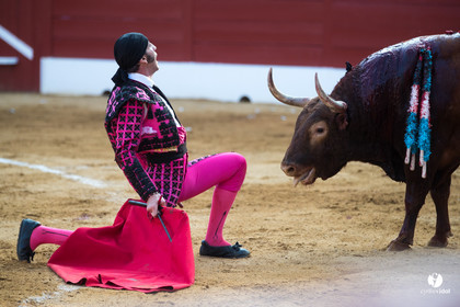 Mont-de-Marsan corrida de Jandilla pour Padilla - Talavante - Roca Rey