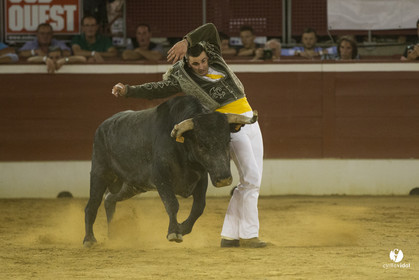 course landaise