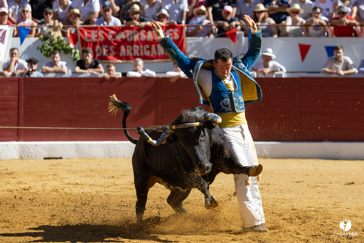 Aire-sur-l'Adour Championnat de France de course landaise 2023 Aire-sur-l'Adour Championnat de France de course landaise 2023