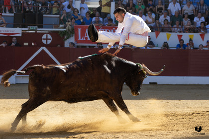 Aire-sur-l'Adour Championnat de France de course landaise 2023