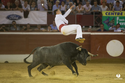 course landaise