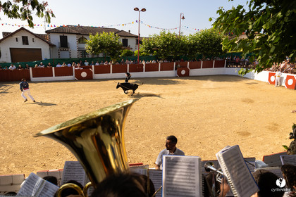 2025-07-05-1508.jpg