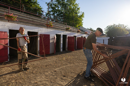2025-06-28-1008.jpg